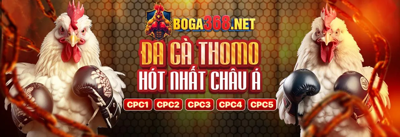 Ứng dụng cn3789 trên điện thoại di động